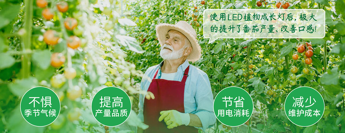植物生長(zhǎng)燈解決方案